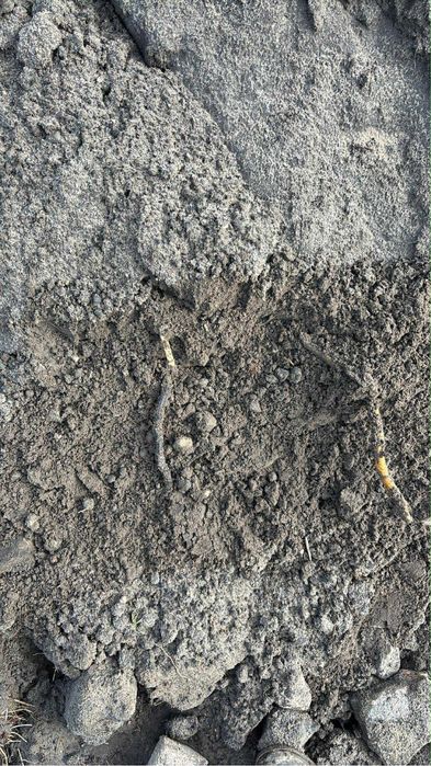 Ziemia na podniesienie terenu humus