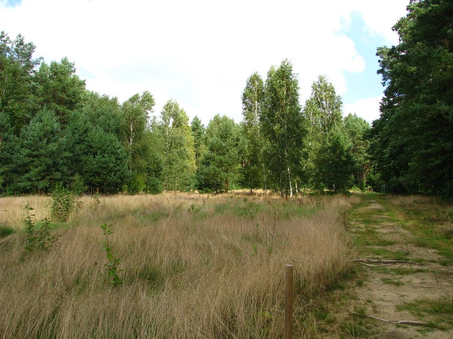 Działka budowlana w Nagladach ( ładnie położona )