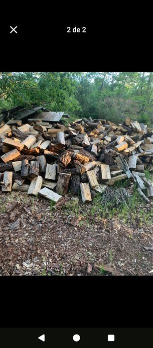 Vendo Lenha de pinho e carvalho