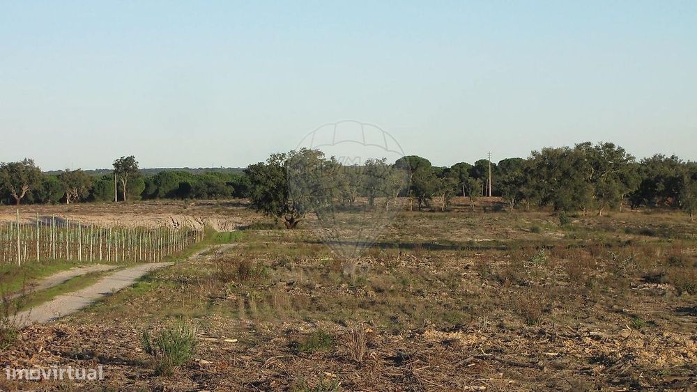 Terreno  para venda