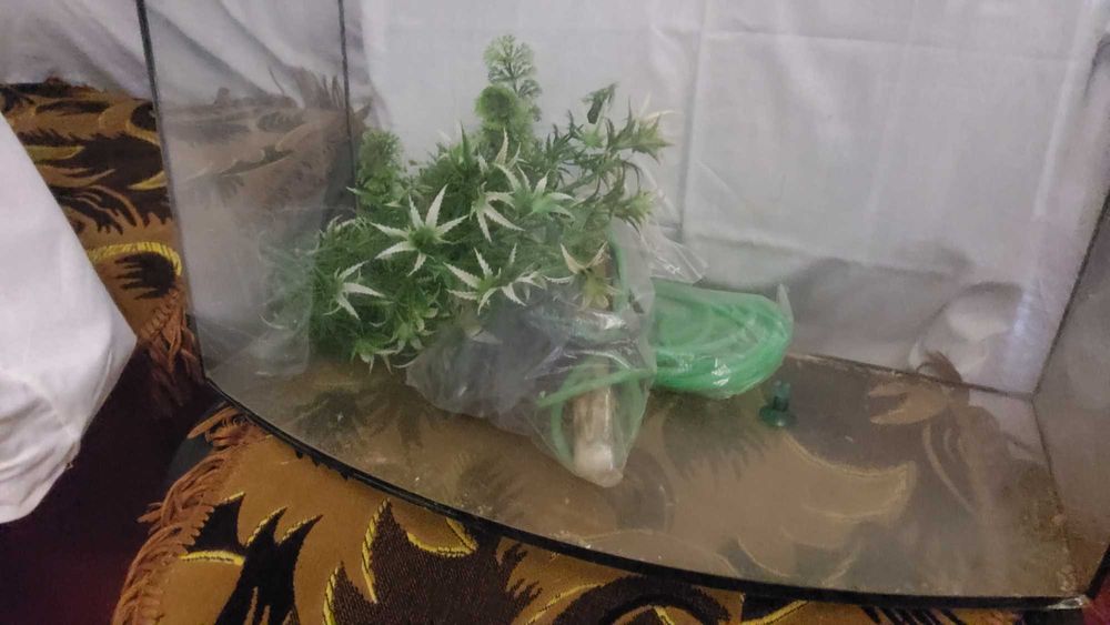 Акваріум для риб, скло