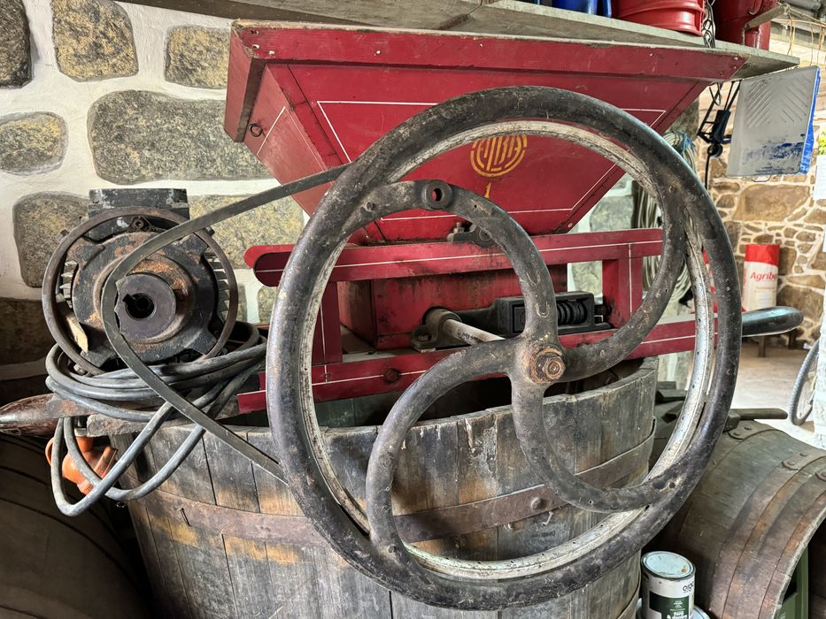 Realador de vinho eletrico