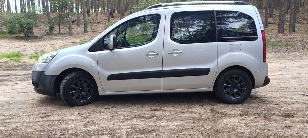 Peugeot Partner Tepee 2009