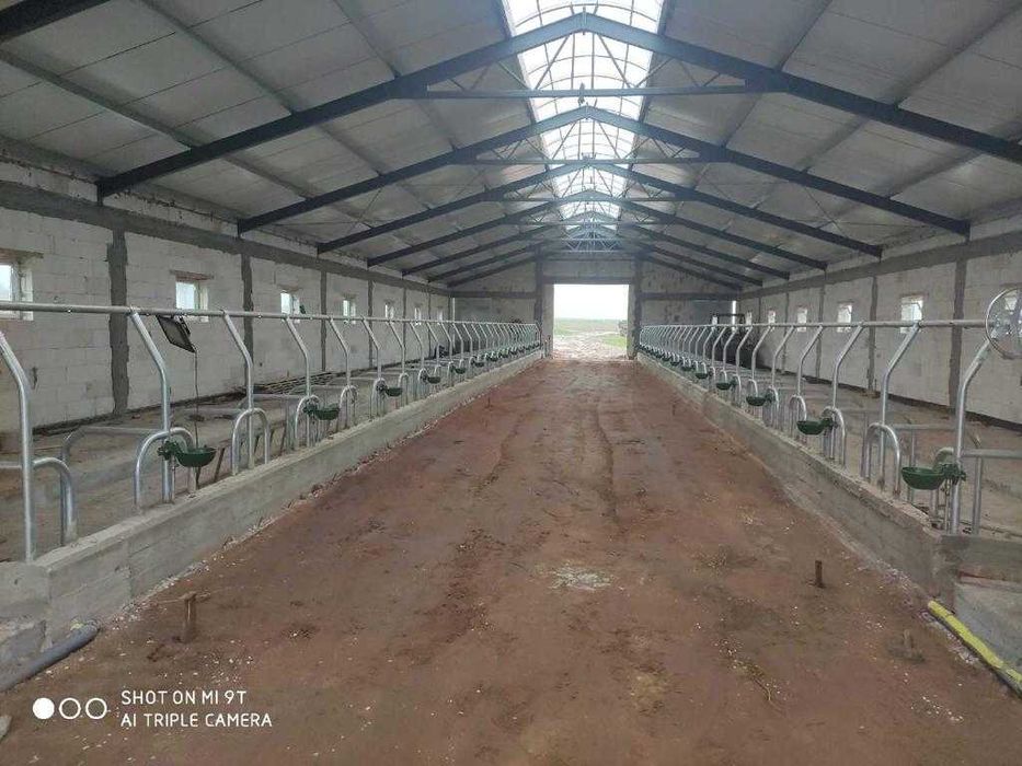 stanowiska dla krów wygrodzenia dla bydła wygrody maty legowiskowe