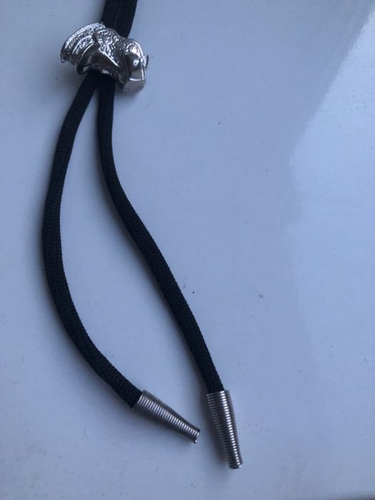 Знак масонів, краватка -  боло та сережки