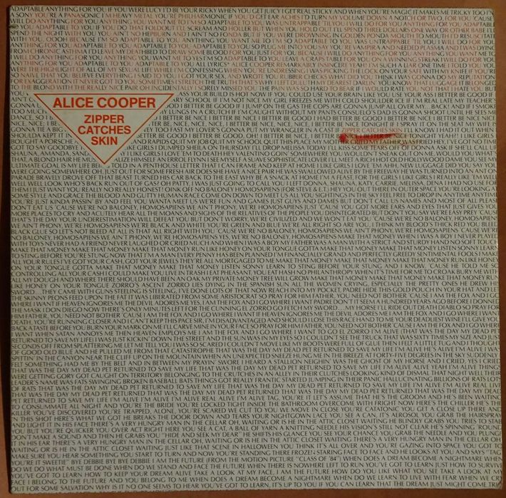 Discos de vinil usados - Doors, Creedence C R, Lou Reed, etc.