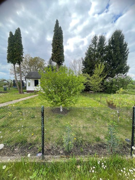 Sprzedam działkę ROD w Świdnicy na osiedla młodych pod grzybem 330m² - Widok 4