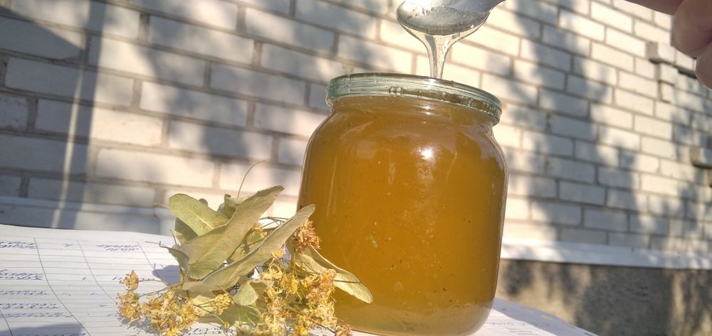 Свіжий липовий мед 2025