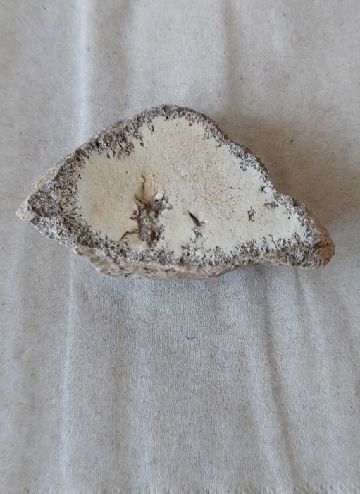 Dendrite Rock, Dendritik rock