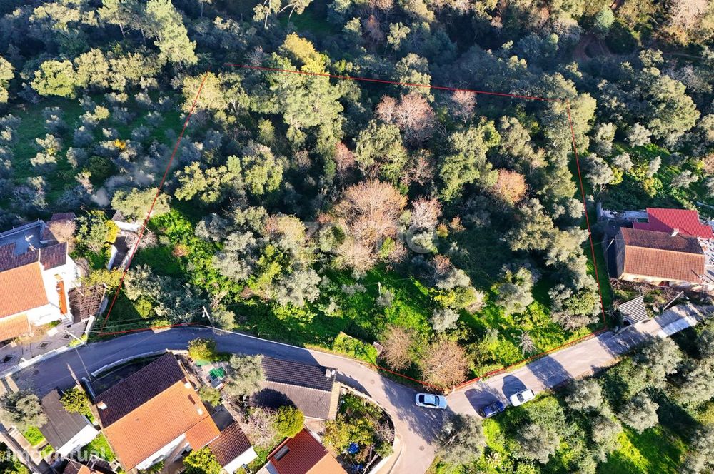Terreno | Chão do Bispo | 4990 m2