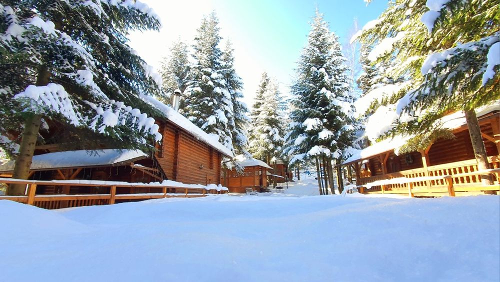 Будинки в Карпатах.  Котедж в Мигово