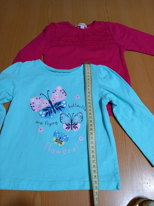 Лонгсліви на дівочку 12-18 місяців