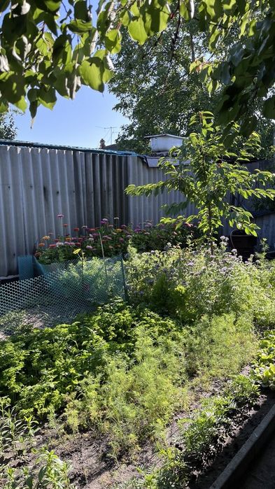 Продам дом в центре Павлограда