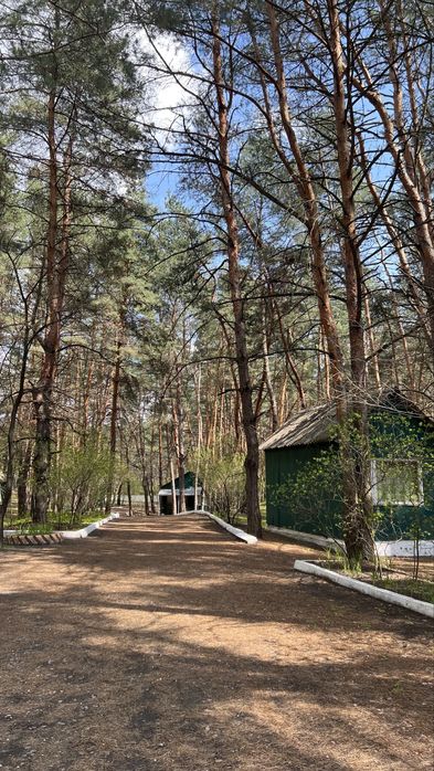 База відпочинку «ДНІПРО» у лісі, біля ріки Орель ПРОДАЖ