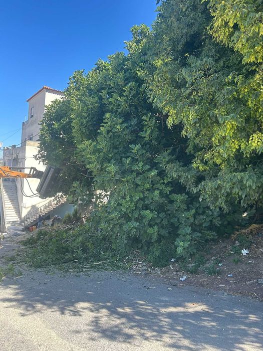 Terreno para estaleiro