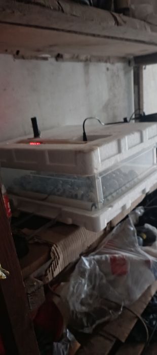Продам або обміняю інкубатор птаха G700