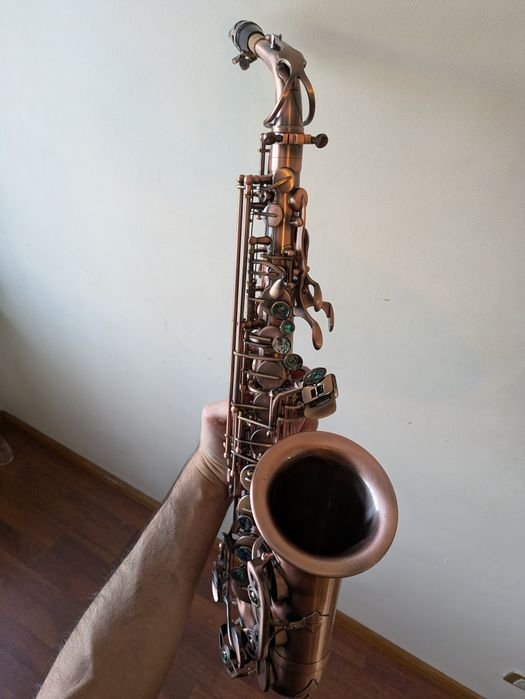 Saxofone Alto completo