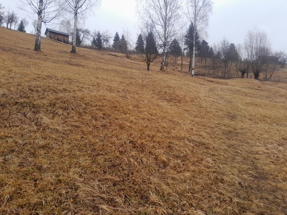 Земельна ділянка Верхній Ясенів