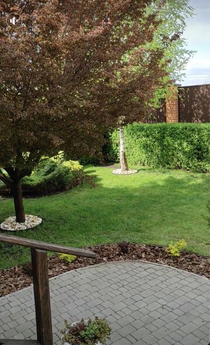 Стрижка газонов,деревьев,кустов.Обработки от вредителей.