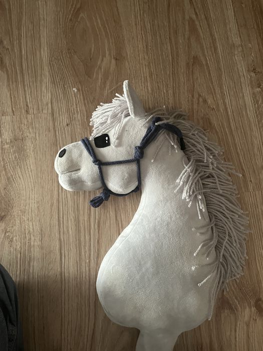 hobby horse z halterem