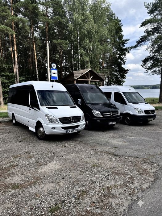 Шептицький - Світязь Пасажирські перевезення Шептицький Сокаль Львів Любомбль Новолинськ Володимир