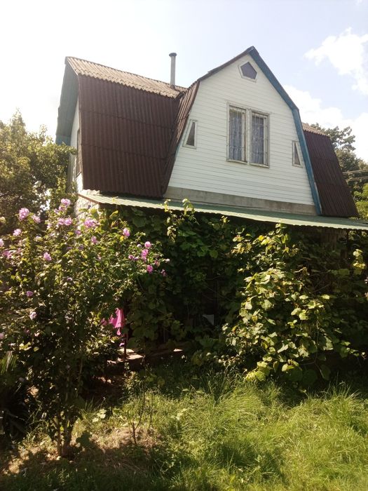 Продам дачу біля лісу