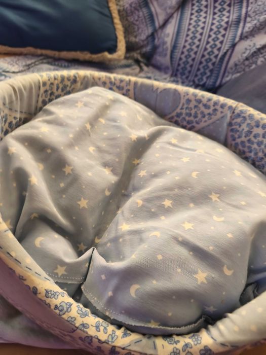 Caminha para gato ou cão