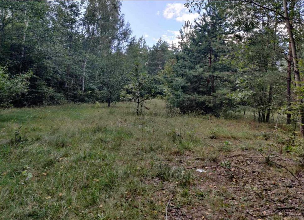 Земельна ділянка (26,7409 га) - с. Березівка Житомирська обл.