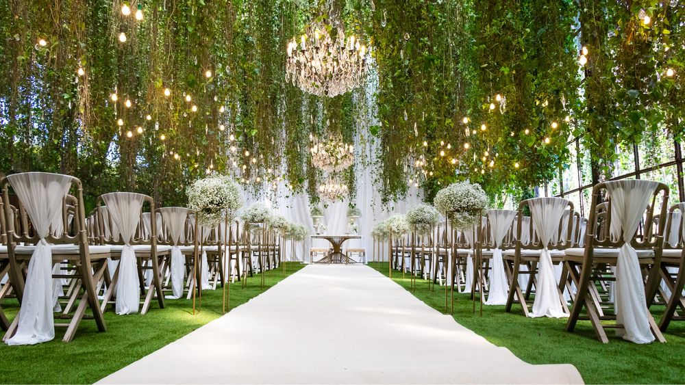 Fotógrafo para eventos/sessões