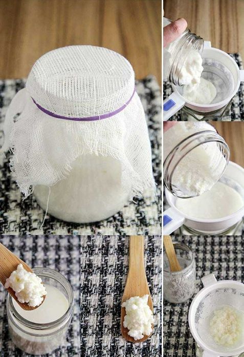 Grãos de Kefir de leite/ aprx. 40g de grãos