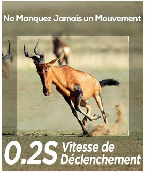 Fotopułapka iZEEKER iG200 32MP HD z ekranem LCD