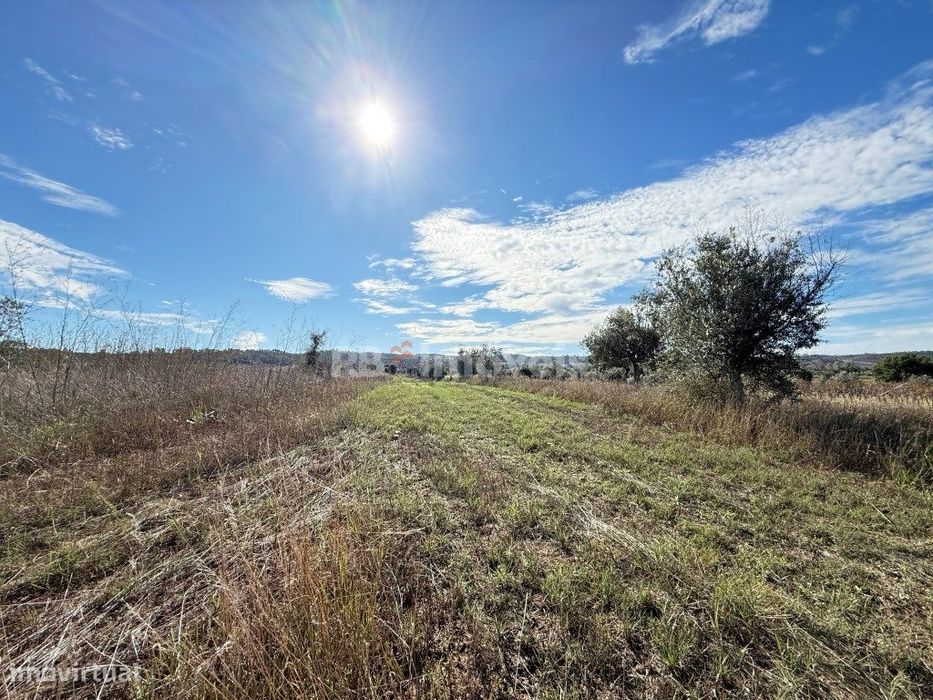 Terreno Rústico c/ água, em Alvega, Abrantes