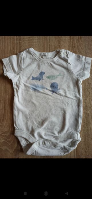 Body białe newbie 56