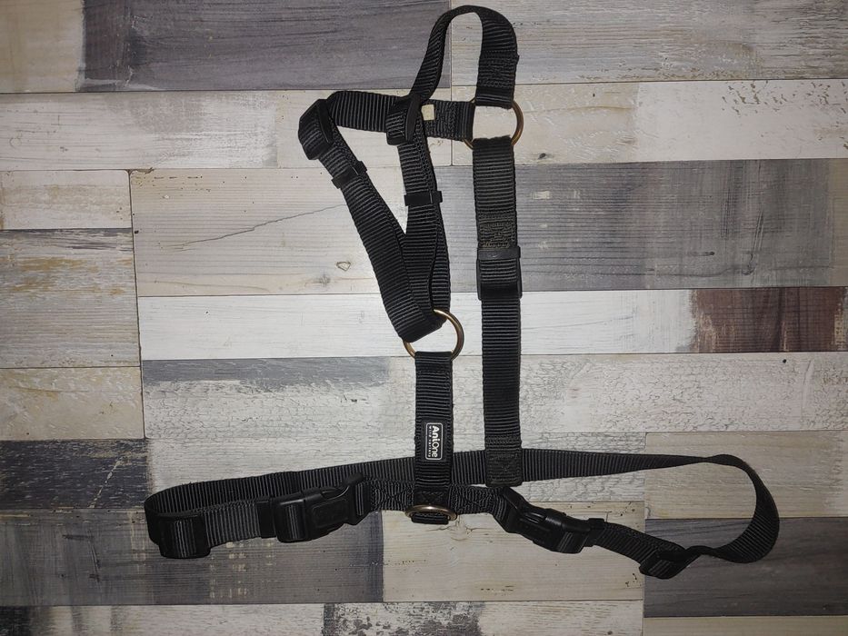 шлея До 40кг AniOne Classic Nylon H-подібна, чорна, L