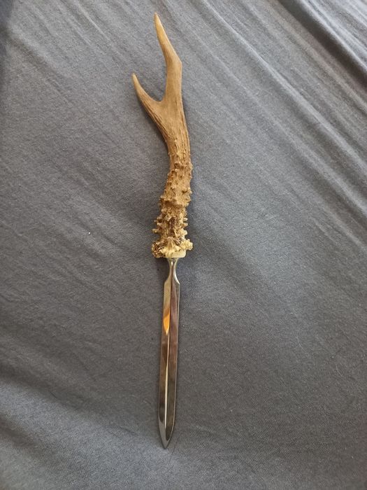 Nóż (nożyk) do papieru -  parostek kozła- myślistwo