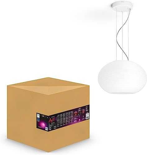 Philips Hue Flourish White and Color Ambiance LED