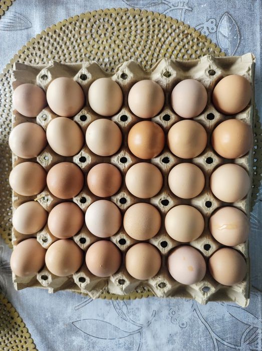 Swojskie,ekologiczne,wiejskie jaja ,jajka ze wsi
