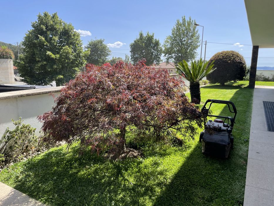 Serviços de jardinagem e limpeza de terrenos.