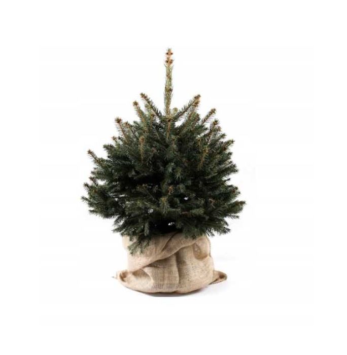 Liny, sznurki, sznury, worki JUTOWE, JUTOWA, JUTOWY