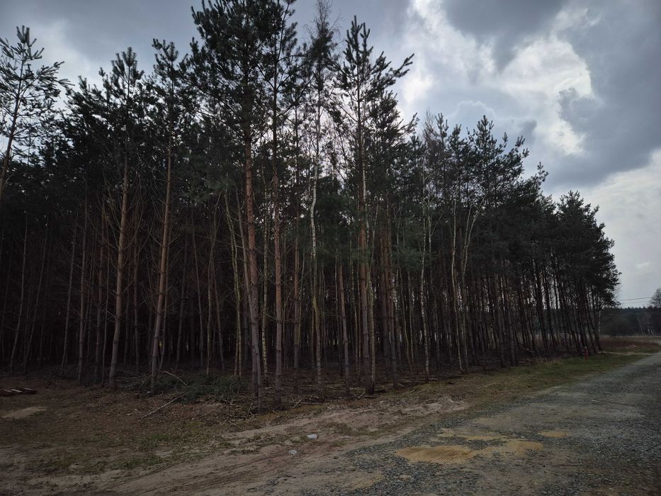 Działka budowlana, Jaźwiny koło Trzebnicy