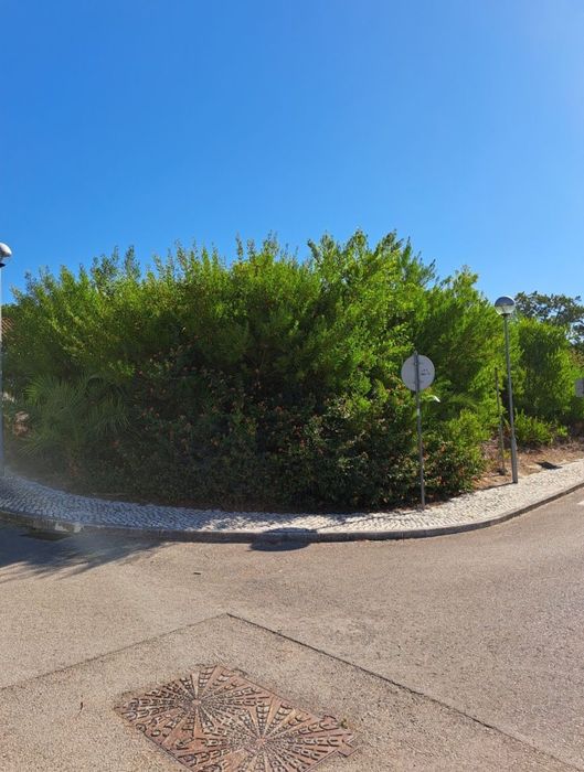 Limpeza terrenos jardins corte árvores