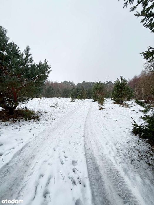 Bezpośrednio, atrakcyjna działka budowlana - Bugaj, gm. Pobiedziska - Widok 5
