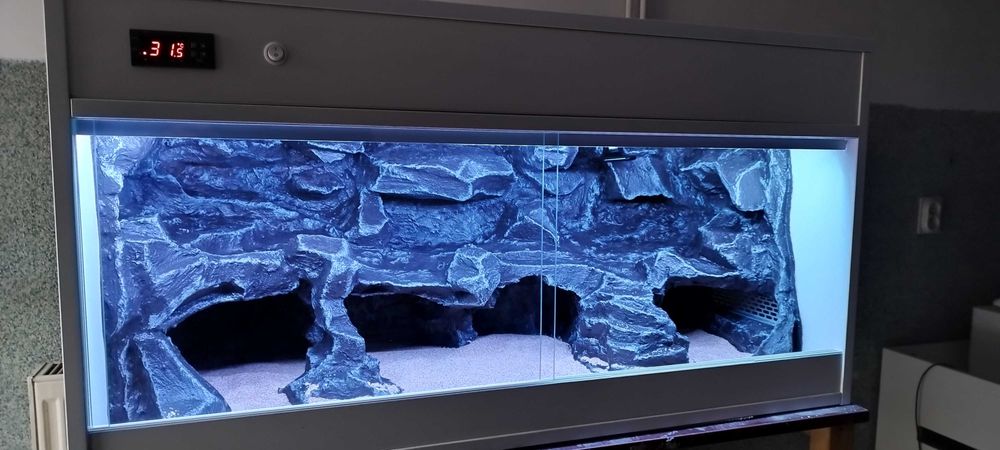 terrarium dla węża zbożowego 80x40x40 ( Exotic Leszno )