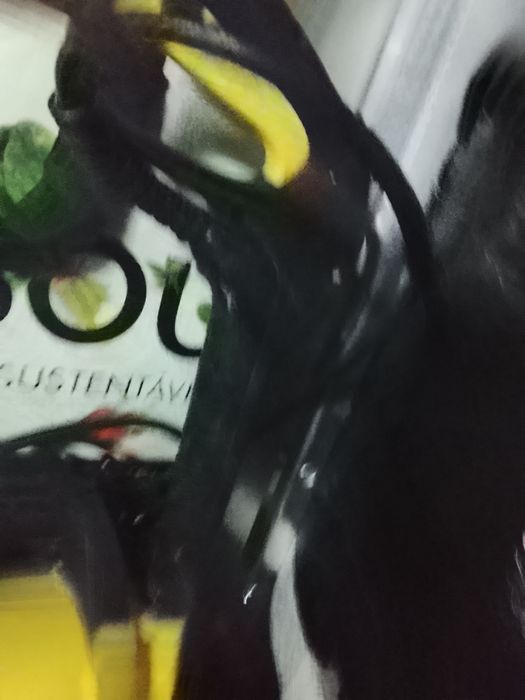 Karcher k2 Basic  máquina alta pressão