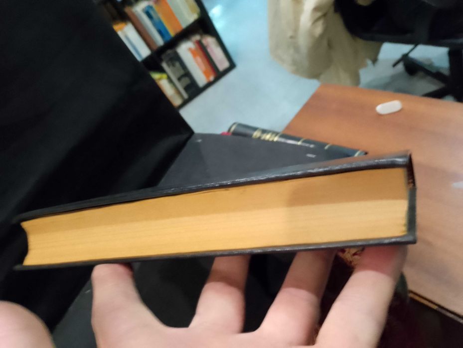 Investigação Paternidade ilegítima Direito Jurisprudência Portuguesa