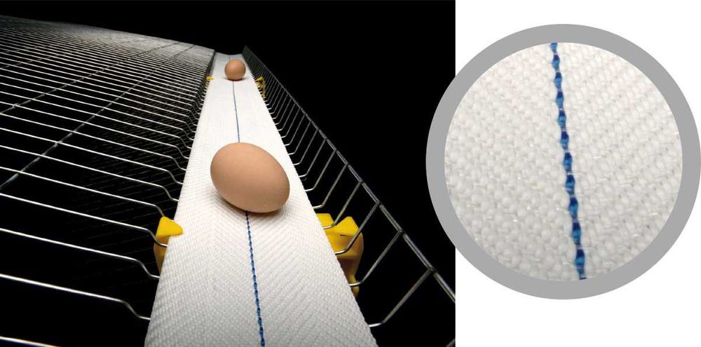 Стрічка яйцезбору в автоматичних гніздах та клітках утримання птиці