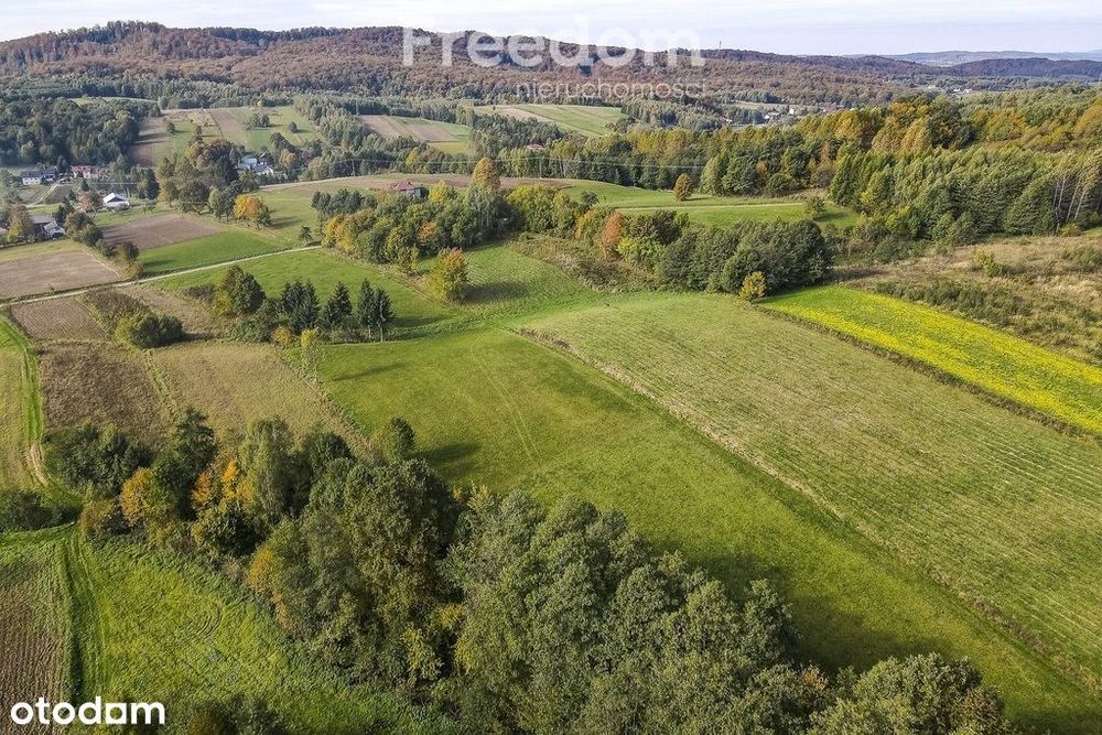 Działka budowlana Grabówka 81 - Widok 6