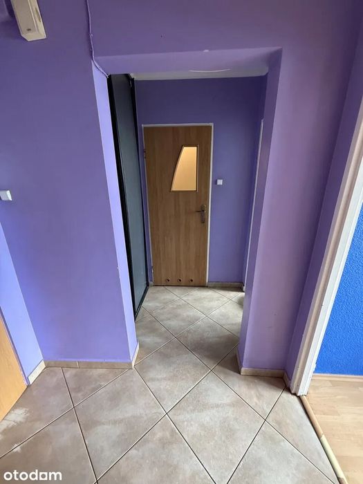 Wynajmę mieszkanie Jelcz-Laskowice