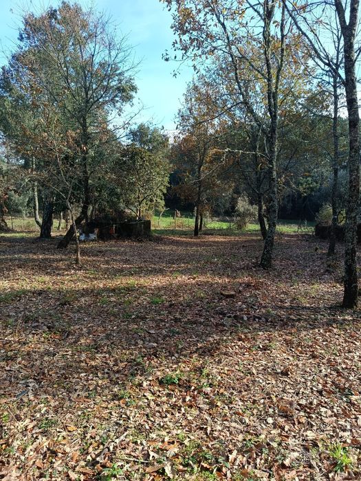 Vende-se quinta Cabeçudo, Sertã