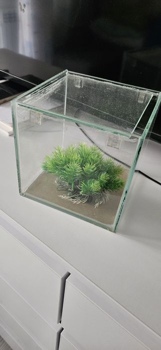 Акваріум куб 15*15*15